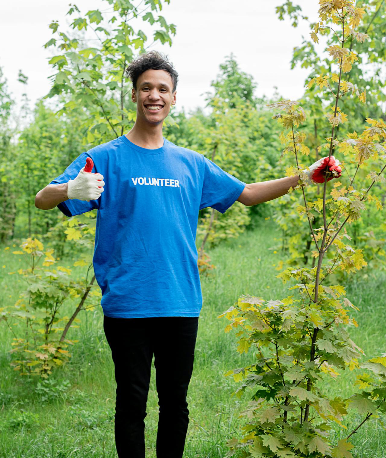 Tree planting