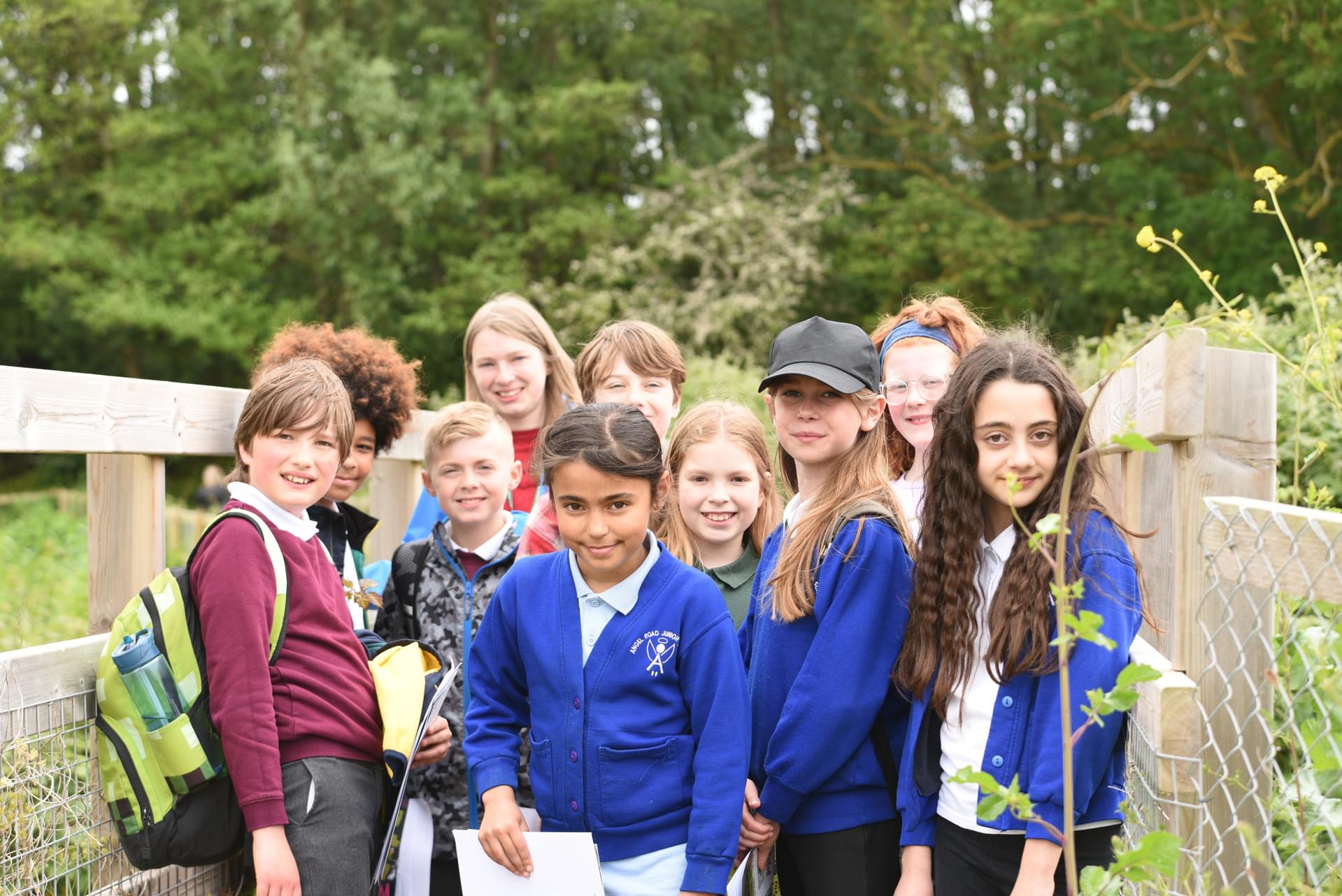 Wild Aldhurst - 1920 x 1281